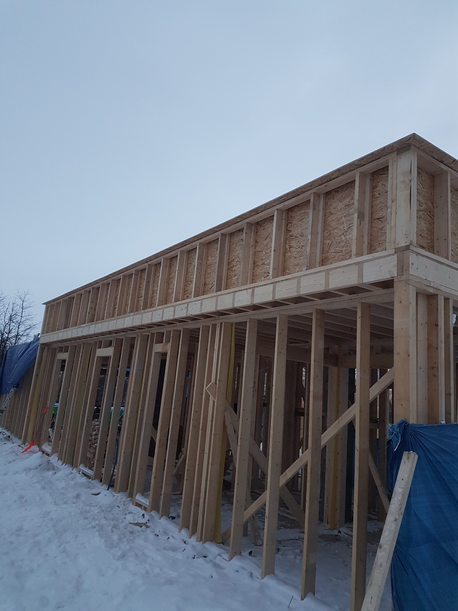 Surowa konstrukcja drewniana budynku w zimowej scenerii. Widoczne deski i płyty OSB tworzące szkielet domu, zasłonięte fragmenty plandeką, pokryte śniegiem.
