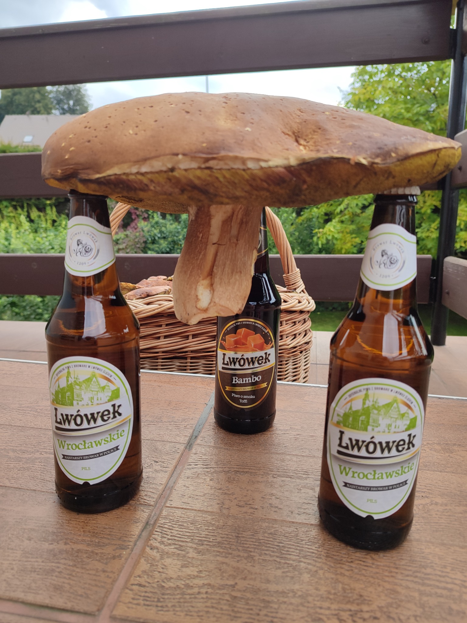 Trzy butelki piwa Lwówek (Wrocławskie Pils i Bambo Toffi) podtrzymujące ogromnego borowika szlachetnego na tle wiklinowego koszyka i zieleni.