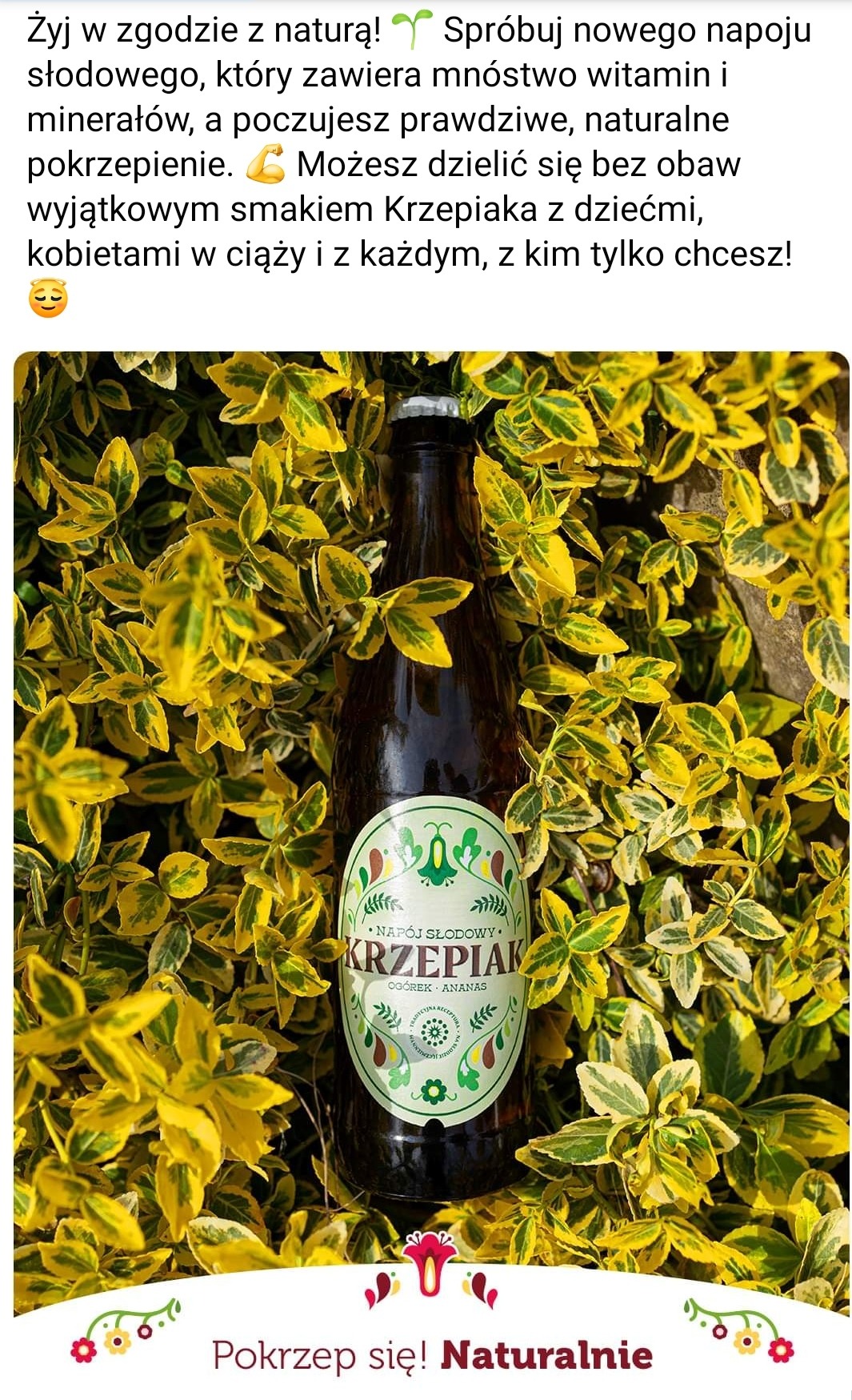 Butelka słodkiego napoju Krzepiak o smaku ogórka i ananasa, zanurzona w gęstwinie żółto-zielonych liści, prezentowana w naturalnym świetle.