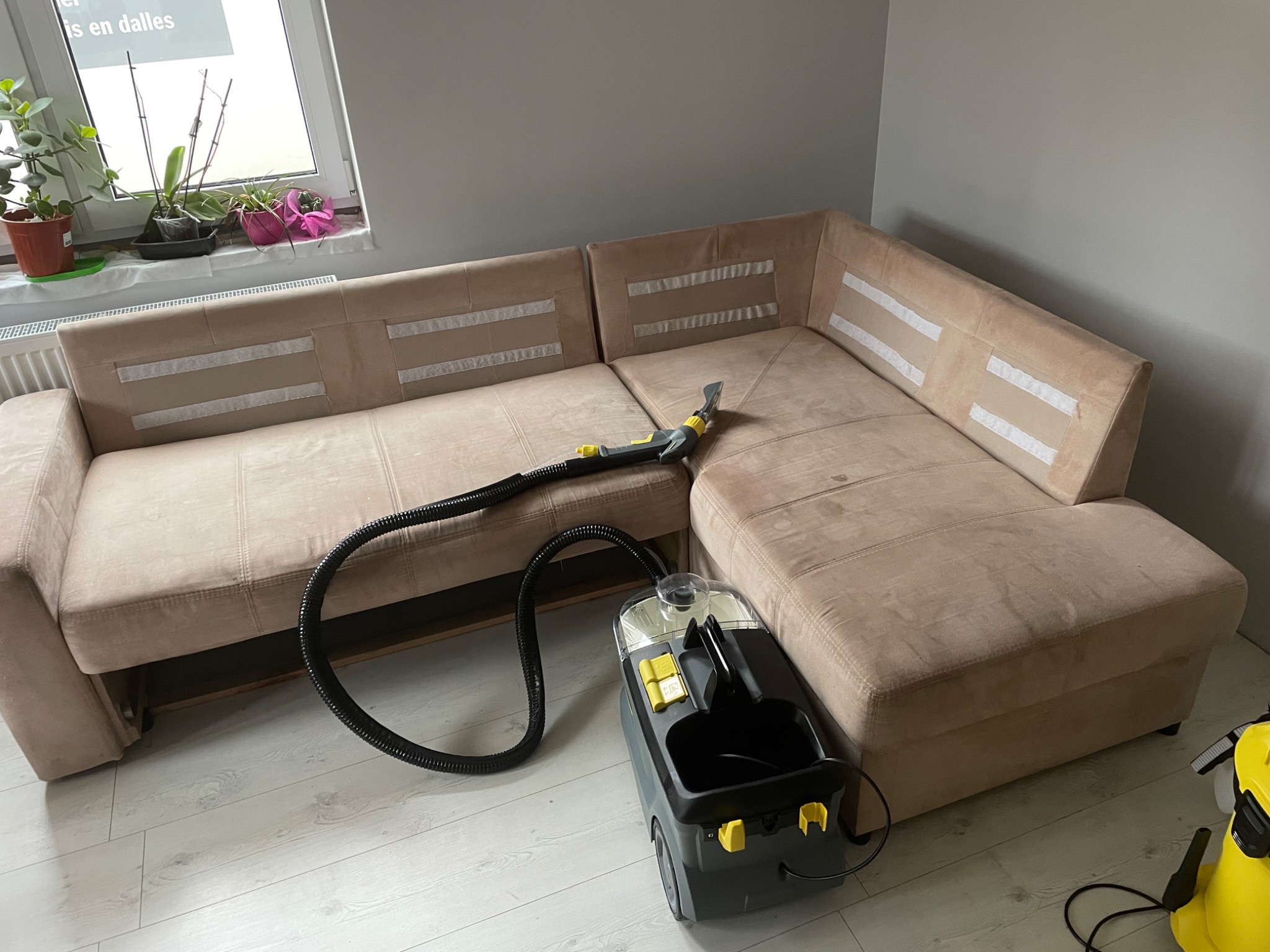 Beżowy narożnik z welurową tapicerką czyszczony parowym odkurzaczem piorącym, widoczne rośliny doniczkowe na parapecie okna.