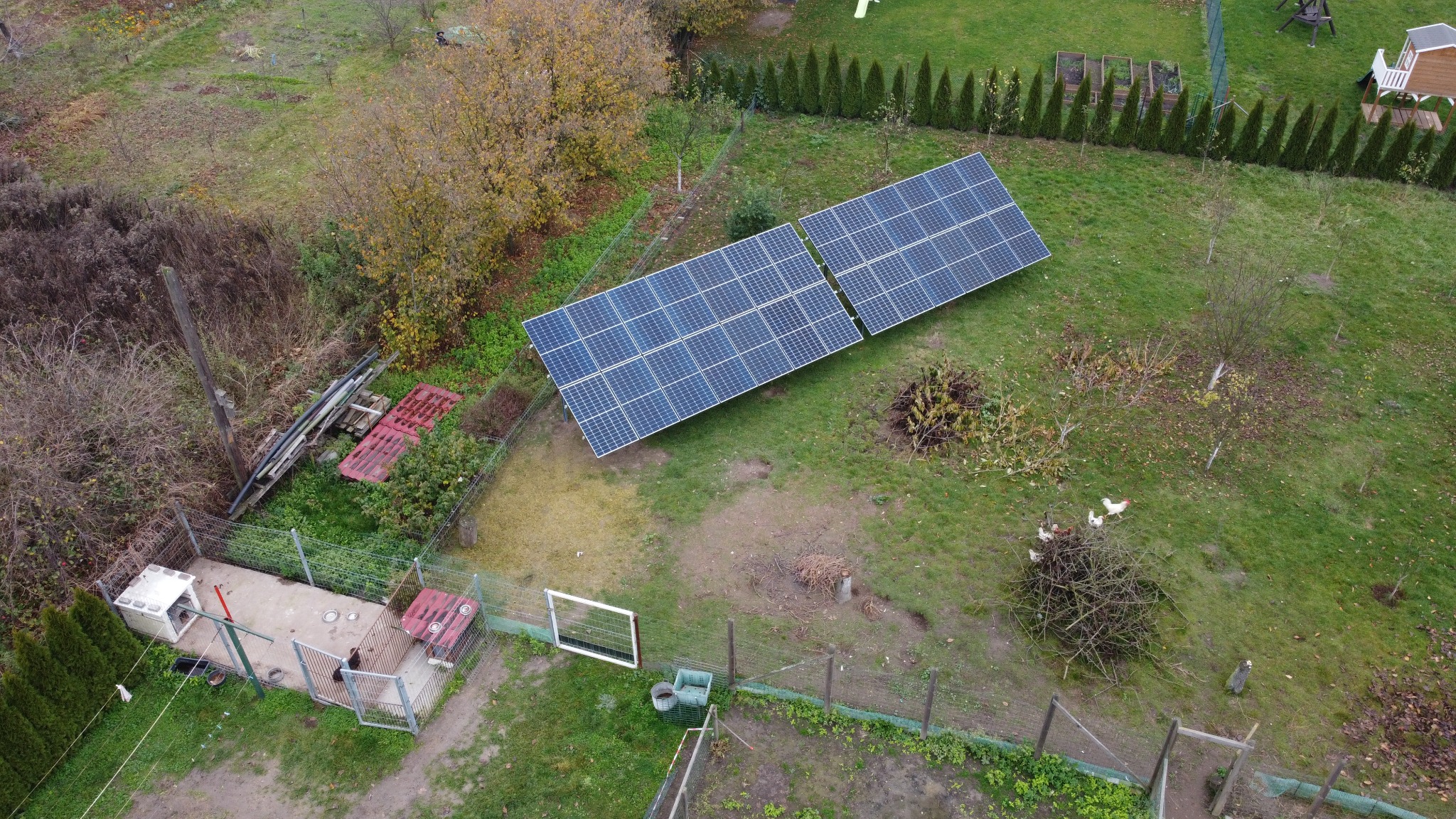 Widok z góry na panele fotowoltaiczne w ogrodzie z kurami i zabudowaniami gospodarczymi. Dwa rzędy paneli ustawione na trawie, jesienne drzewa w tle.
