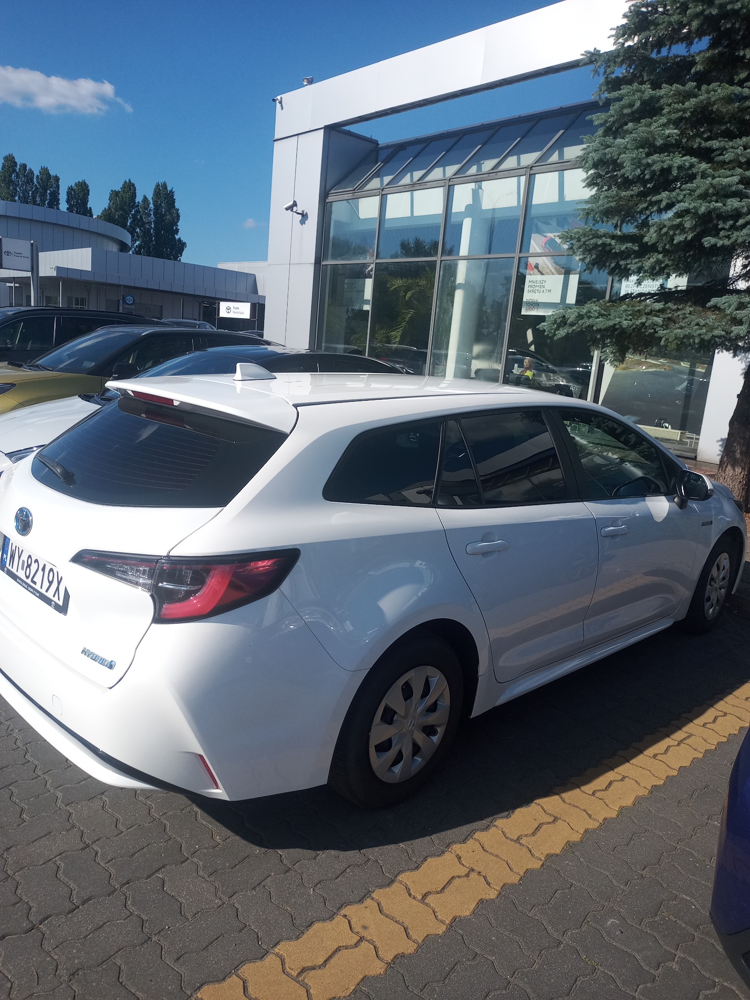 Biała Toyota Corolla kombi Hybrid z polskimi tablicami rejestracyjnymi WY-8219X zaparkowana przed salonem samochodowym w słoneczny dzień.