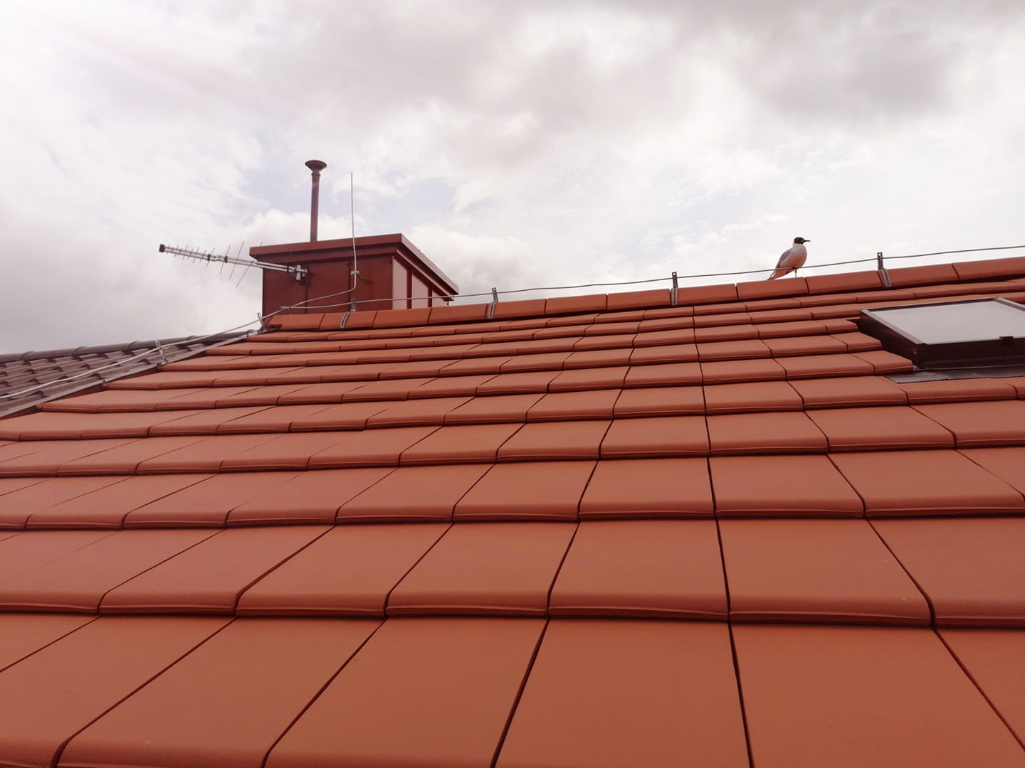 Czerwona dachówka ceramiczna z brązowym kominem, anteną i ptakiem siedzącym na zabezpieczeniu przeciwśniegowym, widok na niebo z chmurami.