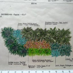 Odręczny projekt rabaty z roślinami cieniolubnymi