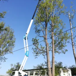 W Lublinie, biało-niebieski podnośnik koszowy na tle błękitnego nieba, używany do pielęgnacji wysokich drzew, z widocznymi odciętymi gałęziami u podstawy pnia i budynkiem w tle.
