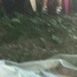 Hetman - Rozmazane ujęcie z ziemi z widocznymi nogami siedzącej osoby na różowym krześle i fragmentem białej folii. Niska jakość zdjęcia.