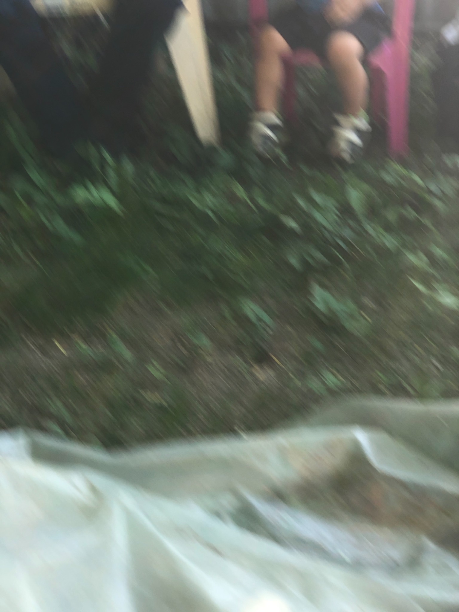 Rozmazane ujęcie z ziemi z widocznymi nogami siedzącej osoby na różowym krześle i fragmentem białej folii. Niska jakość zdjęcia.