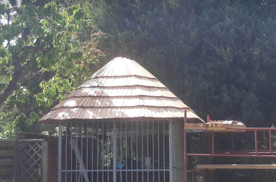 Konstrukcja altany z drewnianym dachem w kształcie stożka, widoczna na tle zieleni, częściowo osłonięta metalową konstrukcją i rusztowaniem.