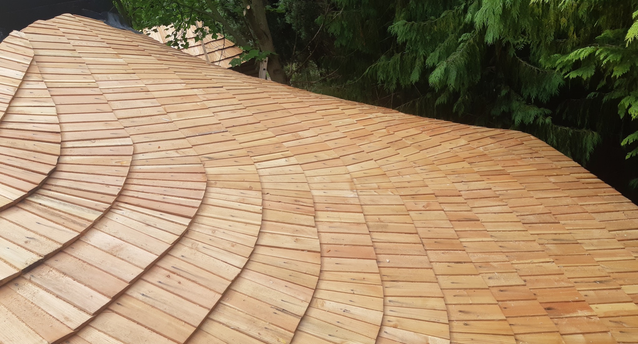 Nowo wykonana drewniana konstrukcja dachu pokryta gontem bitumicznym, widok z góry, na tle zieleni drzew.