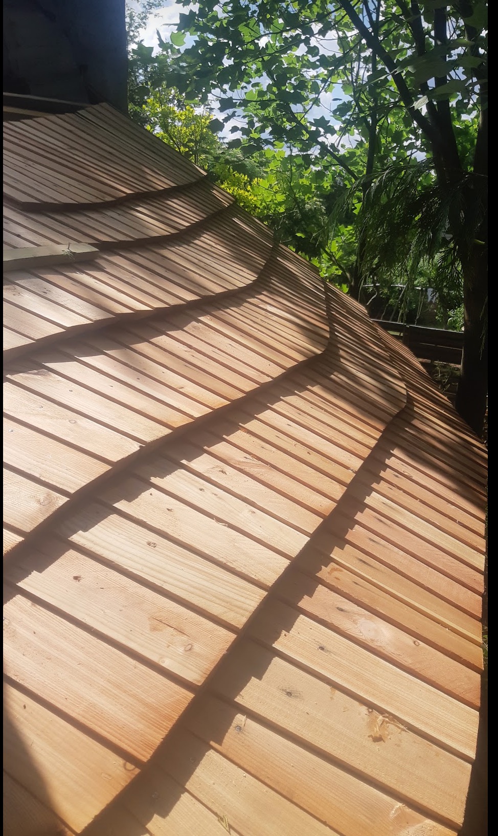 Nowo położony dach z drewnianych gontów, widok pod kątem, z widocznym fragmentem zieleni drzew w tle.