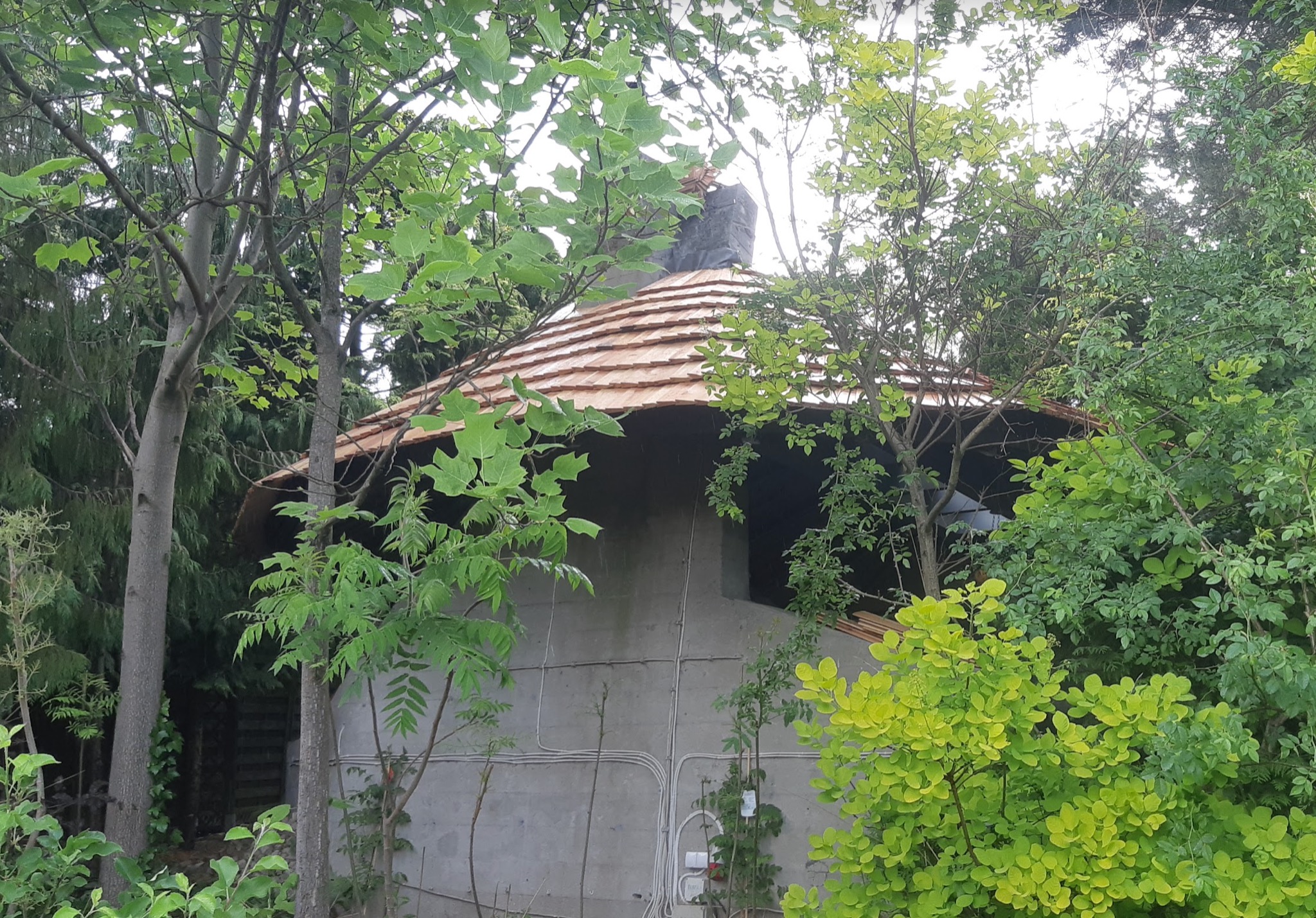 Nietypowy okrągły budynek z drewnianym dachem w stylu gontu bitumicznego, częściowo zasłonięty przez bujną roślinność.