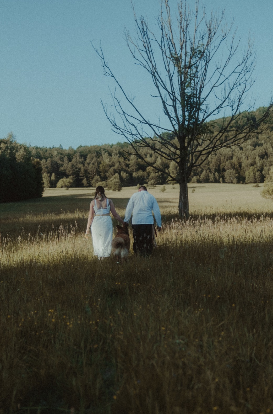 Para trzymająca psa za obrożę, idąca przez wysoką trawę w kierunku lasu pod błękitnym niebem, z pojedynczym, uschniętym drzewem po prawej stronie kadru.
