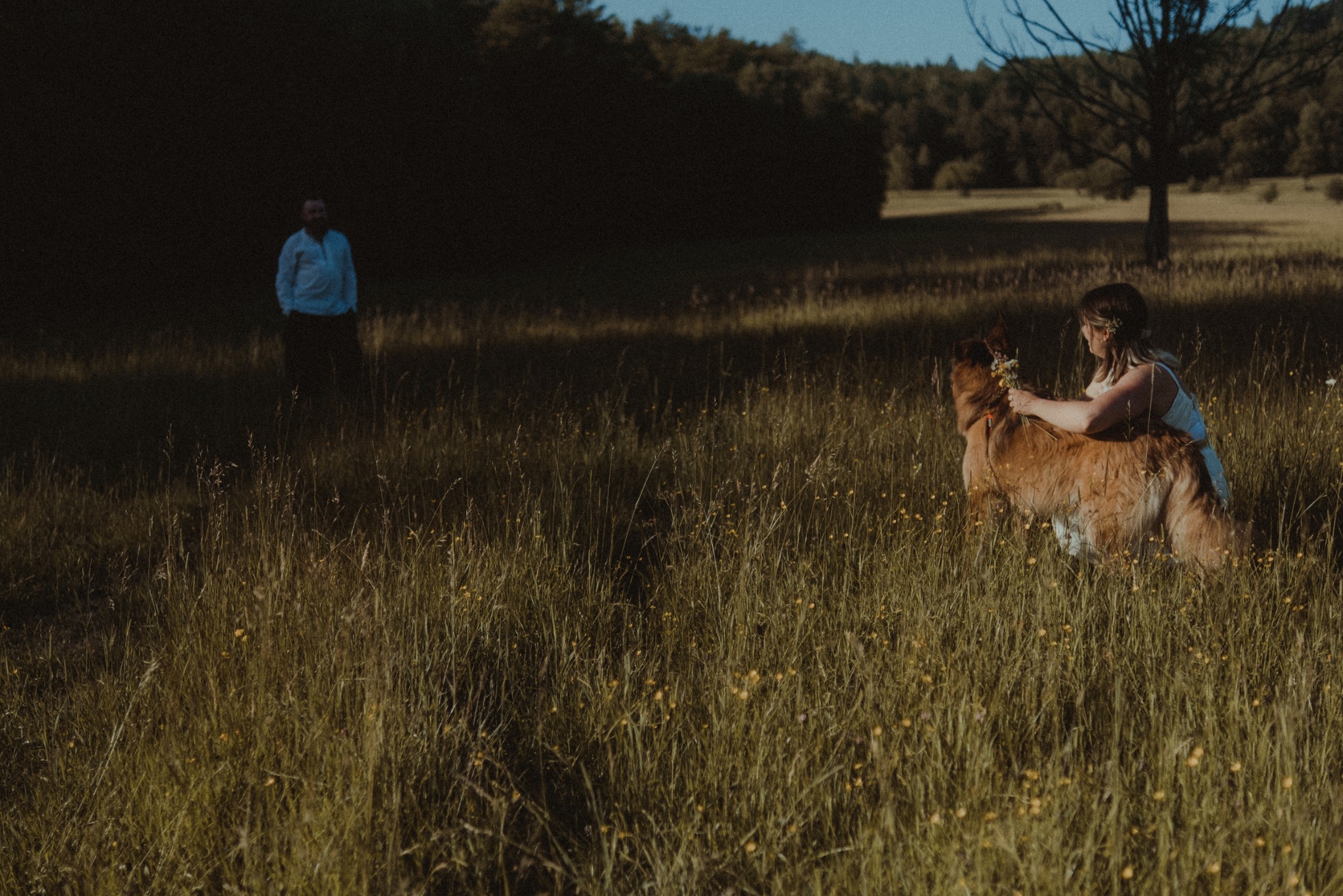 Kobieta w zwiewnej sukience, z kwiatami we włosach, głaszcze złotego retrievera na łące z wysoką trawą i żółtymi kwiatami, w tle zarys sylwetki mężczyzny i ciemny las.