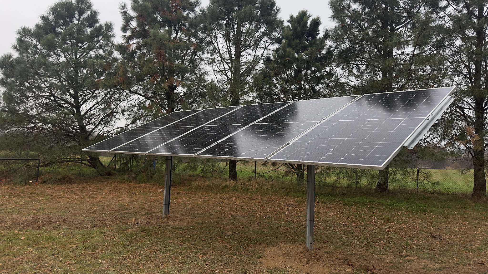 Panel słoneczny ustawiony na dwóch metalowych słupkach na zewnątrz, z widocznymi drzewami iglastymi w tle i ziemią pokrytą resztkami liści