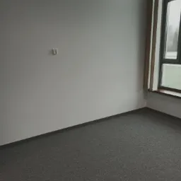 Pokój z szarą wykładziną dywanową, białą ścianą z gniazdkiem elektrycznym i oknem z widokiem na zewnątrz.