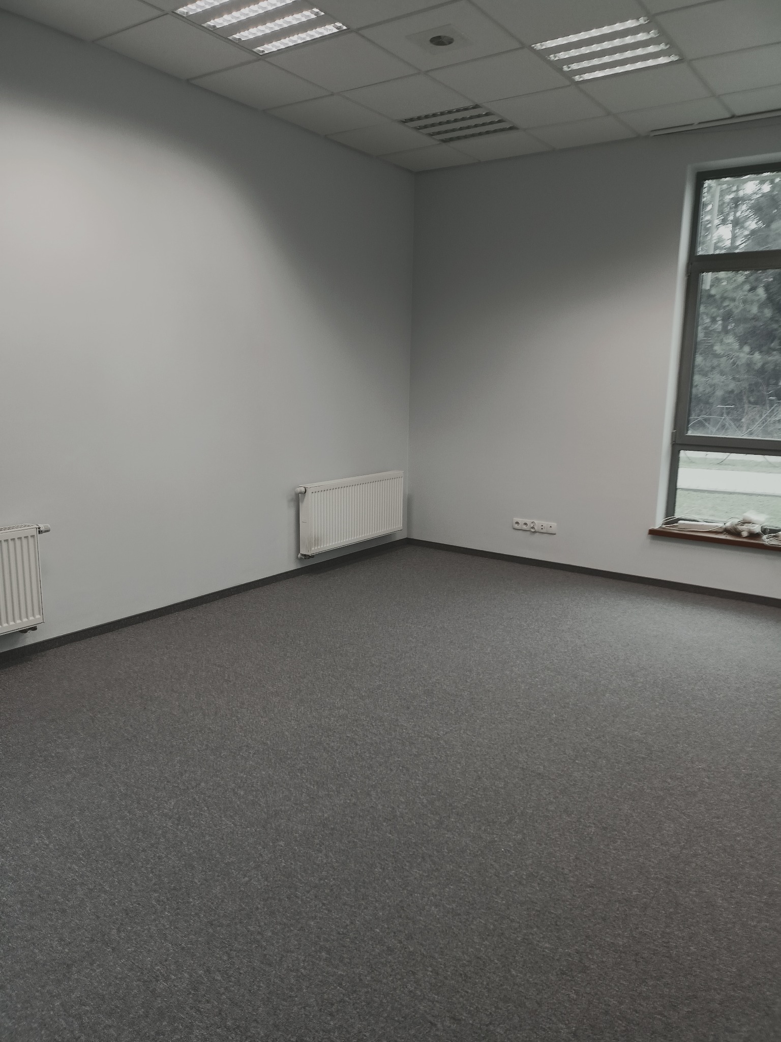 Puste, jasne pomieszczenie biurowe z szarą wykładziną dywanową, białymi ścianami, grzejnikami i oknem z widokiem na zieleń.