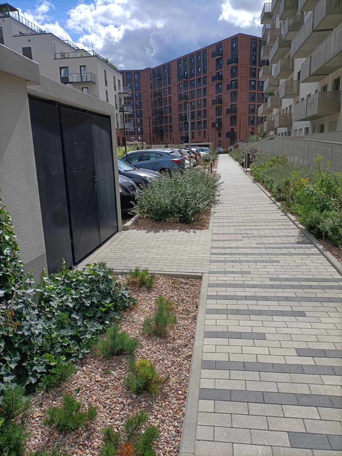 Ułożona z szaro-beżowej kostki brukowej ścieżka z elementami dekoracyjnymi w postaci roślin i kamieni ozdobnych, prowadząca wzdłuż parkingu z zaparkowanymi samochodami i budynków mieszkalnych.