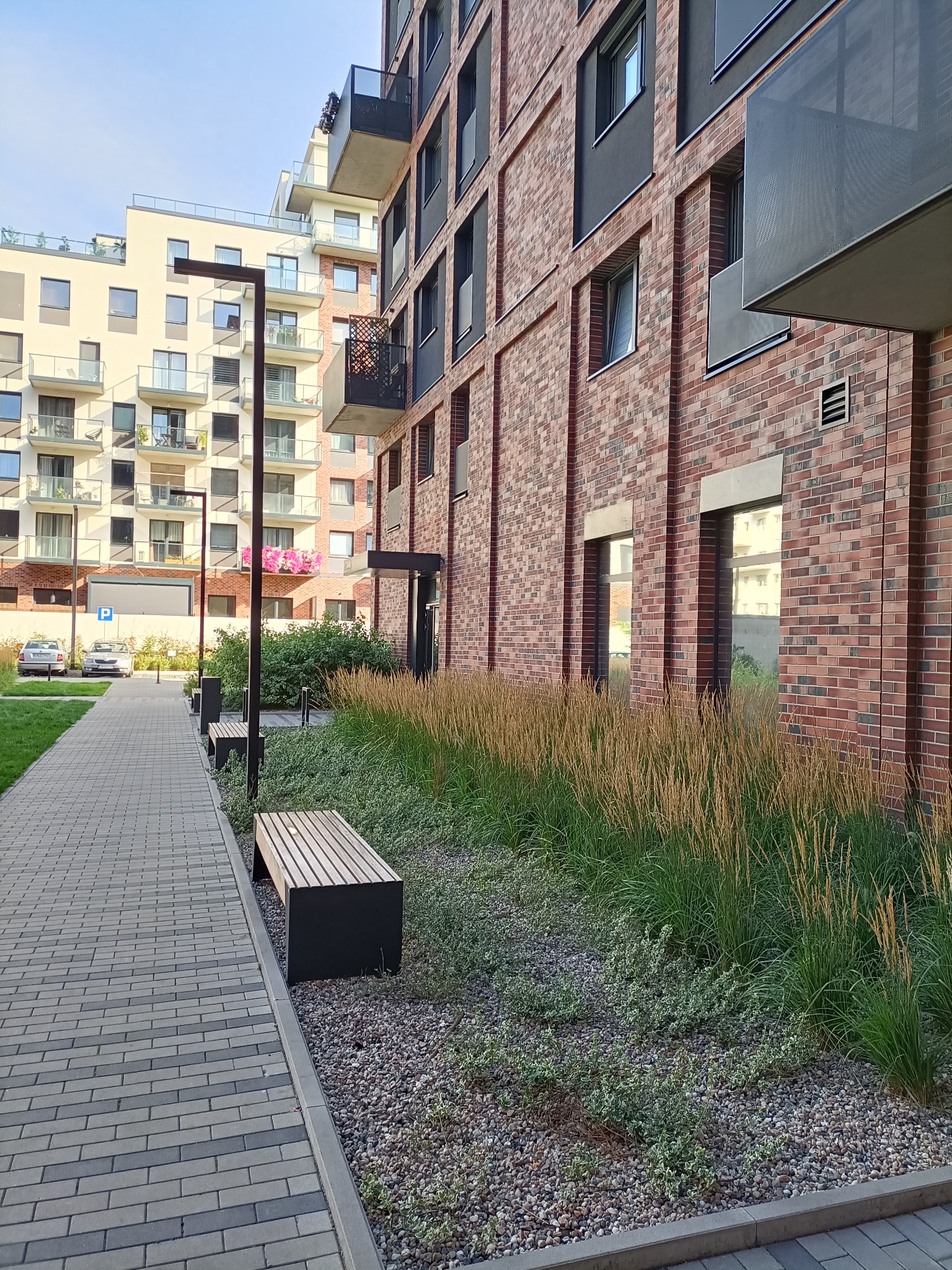 Nowoczesny chodnik z kostki brukowej prowadzący wzdłuż budynku z cegły, z ławkami, ozdobną trawą i kamieniami.