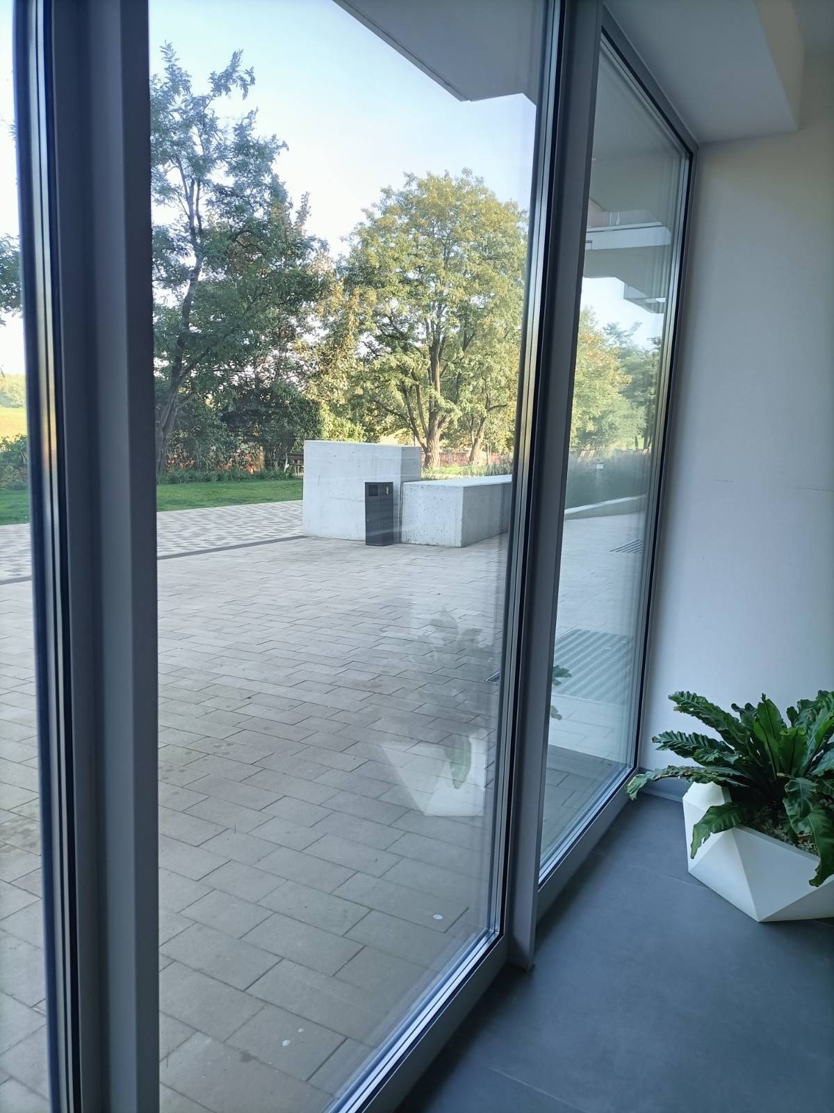 Widok z wnętrza przez duże okno na brukowany dziedziniec z zielenią i budynkiem gospodarczym, wewnątrz doniczka z paprotką.