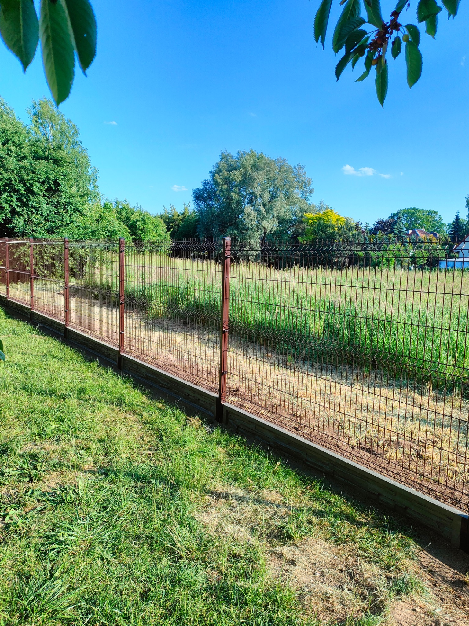 Brązowe ogrodzenie z paneli metalowych z podmurówką betonową, widok z niskiej perspektywy na tle zarośniętej trawy i drzew pod błękitnym niebem.