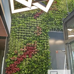 Ogrody Zamaro Urszula Zamaro-Baran - Zielona ściana w biurowcu Elbląg