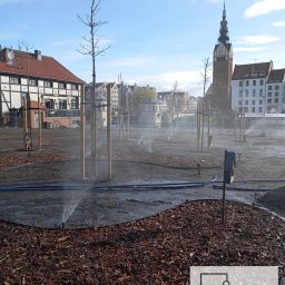 Ogrody Zamaro Urszula Zamaro-Baran - Zakładanie systemów nawadniania roślin