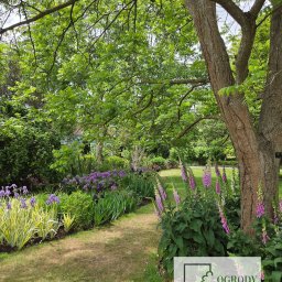 Ogrody Zamaro Urszula Zamaro-Baran - Pielęgnacja ogrodów, ogród bylinowy