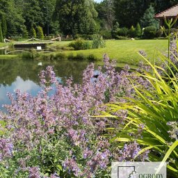 Ogrody Zamaro Urszula Zamaro-Baran - Ogród ze stawem, zakładanie ogrodów Elbląg i okolice