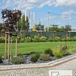 Ogrody Zamaro Urszula Zamaro-Baran - Ogród z hortensjami, zakładanie ogrodów