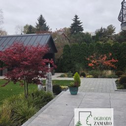 Ogrody Zamaro Urszula Zamaro-Baran - kolory w ogrodzie, drzewo które się przebarwia jesienią