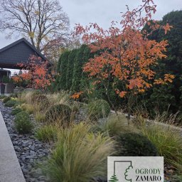 Ogrody Zamaro Urszula Zamaro-Baran - Ogród jesienią, kolory jesieni, pielęgnacja jesienna ogrodu