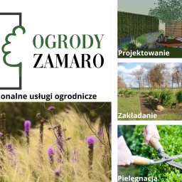 Projektowanie ogrodów Elbląg, Zakładanie ogrodów Elbląg, Pielęgnacja ogrodów Elbląg
