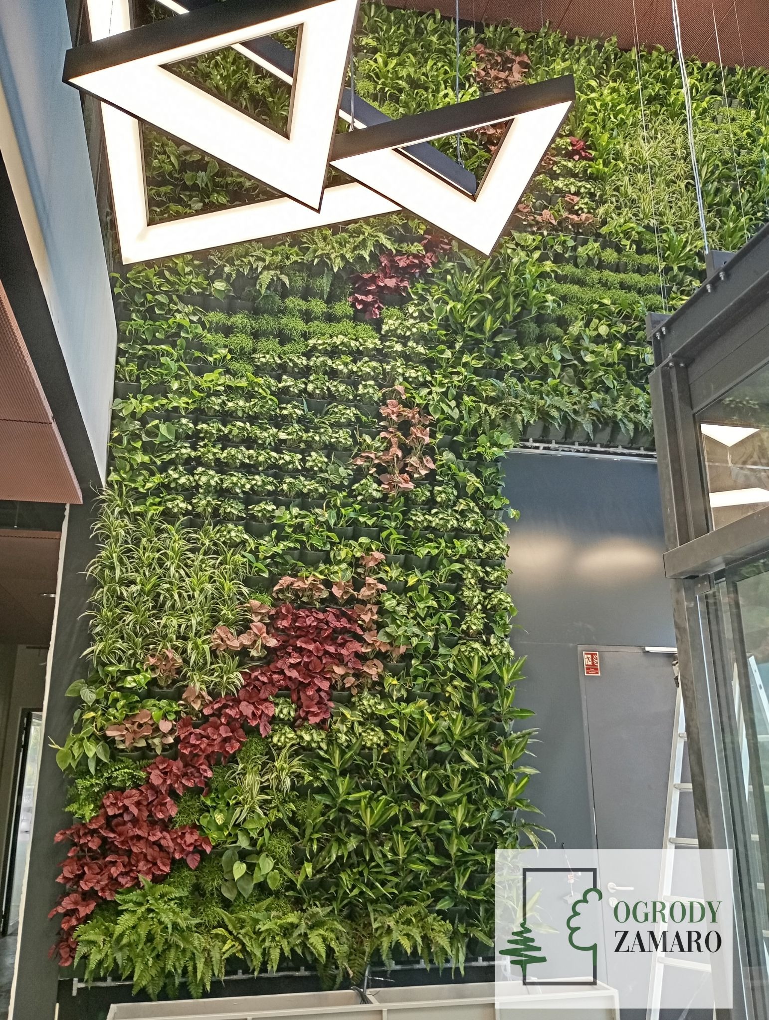 Zielona ściana w biurowcu Elbląg