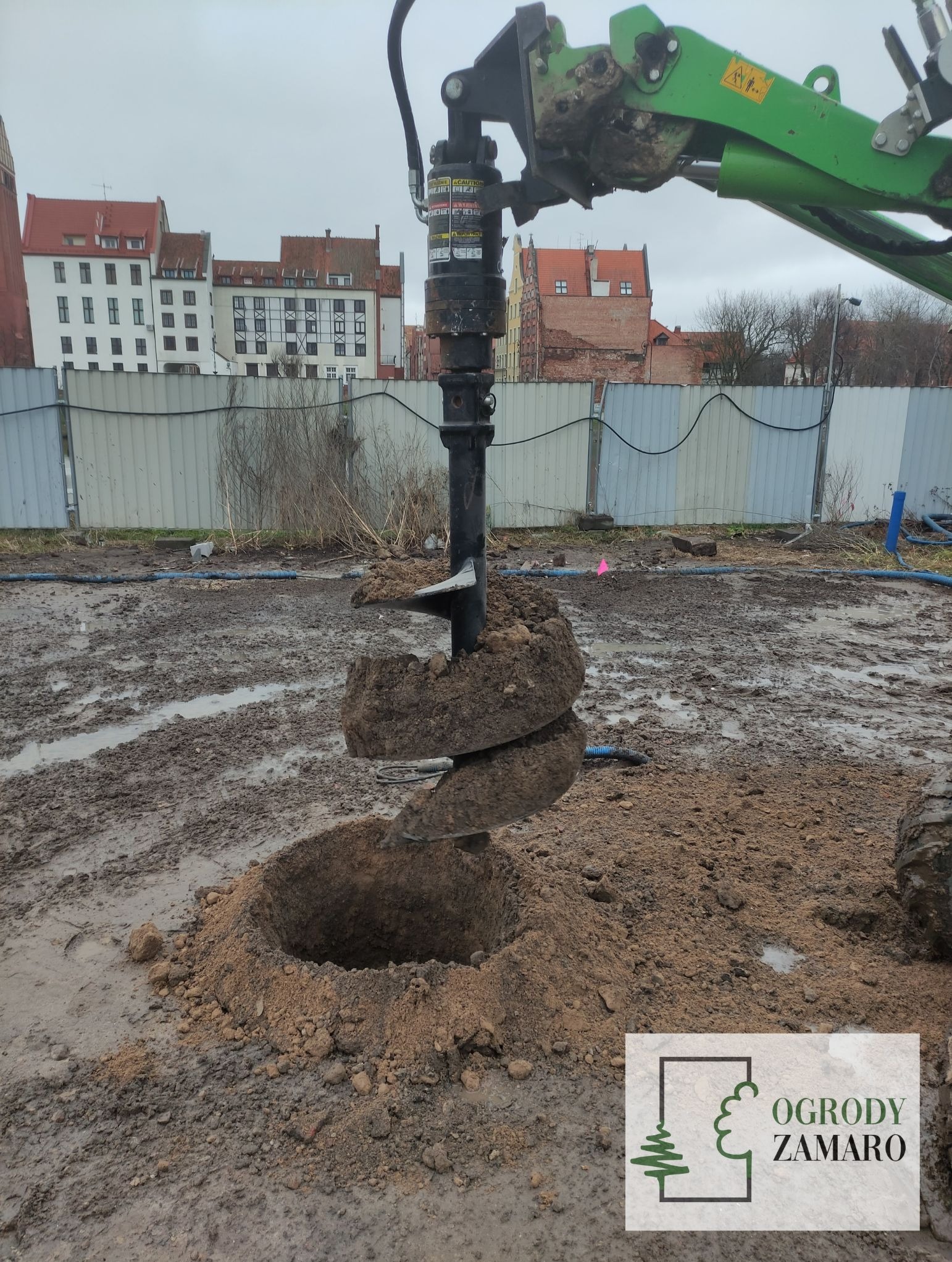 Sadzenie i przesadzanie dużych drzew Elbląg i okolice