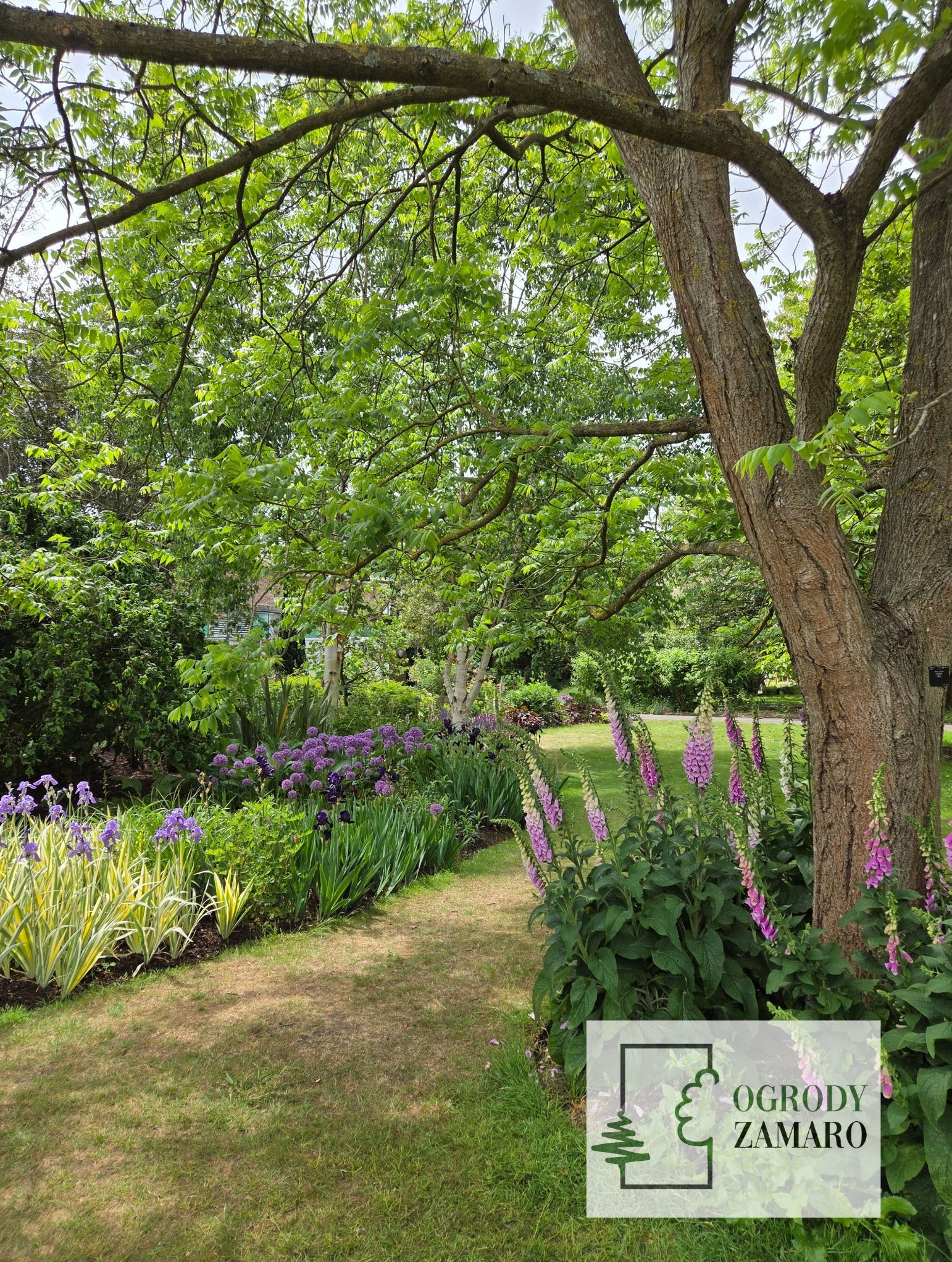 Pielęgnacja ogrodów, ogród bylinowy