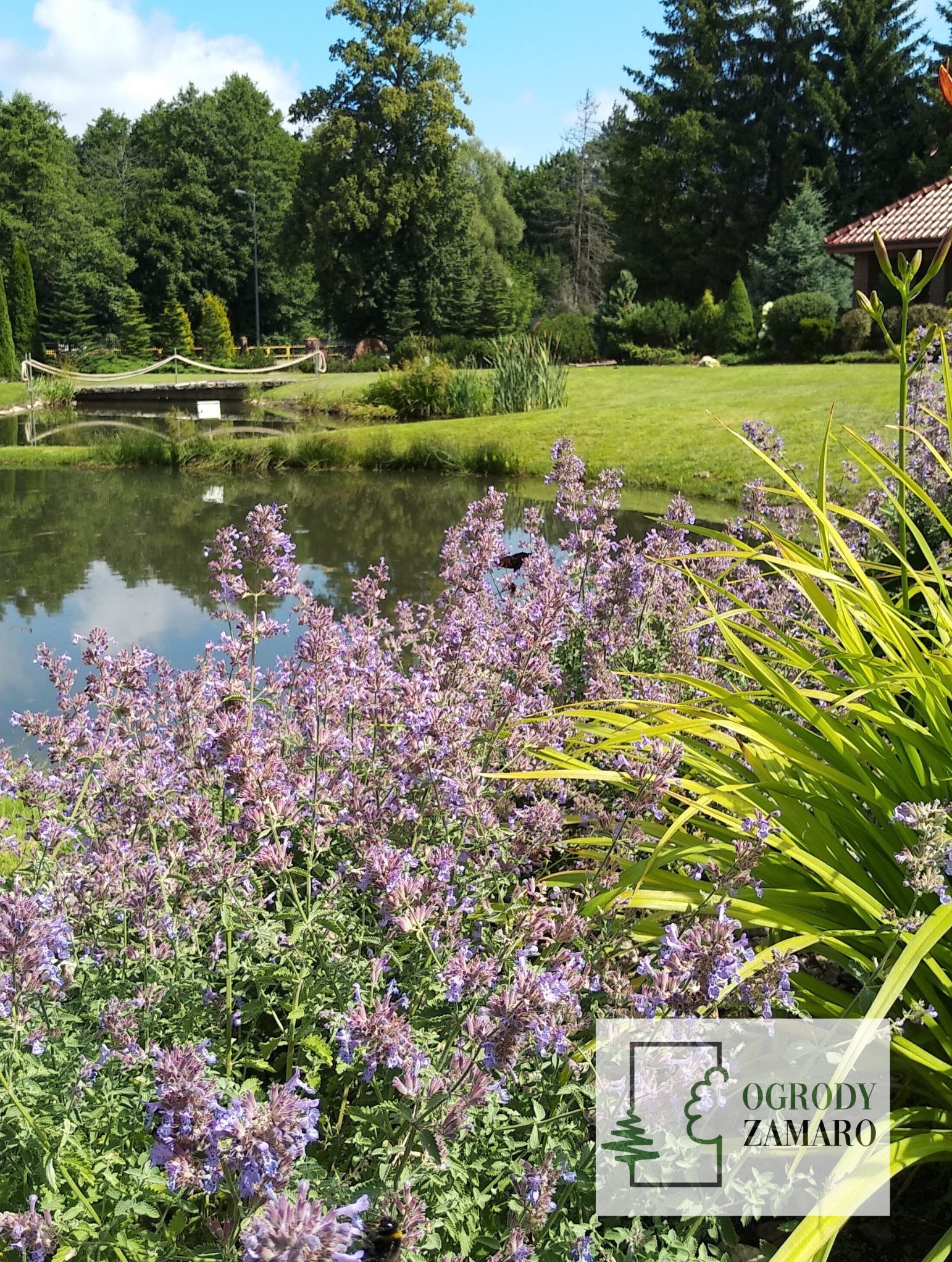 Ogród ze stawem, zakładanie ogrodów Elbląg i okolice
