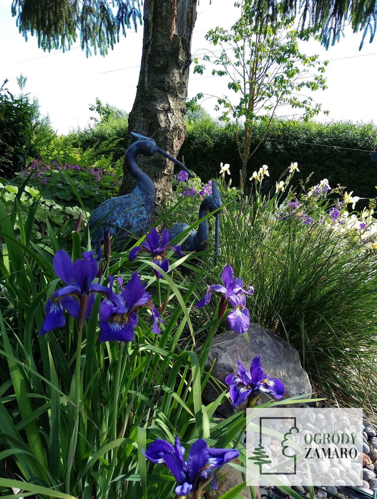 Ogród w wielskim stylu, kwiaty w ogrodzie