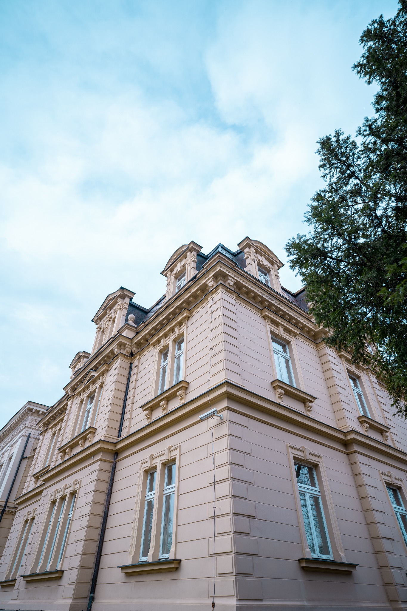 Elewacja narożna odrestaurowanej kamienicy z oknami, z widocznymi detalami architektonicznymi i drzewem w tle, sfotografowana z dołu.