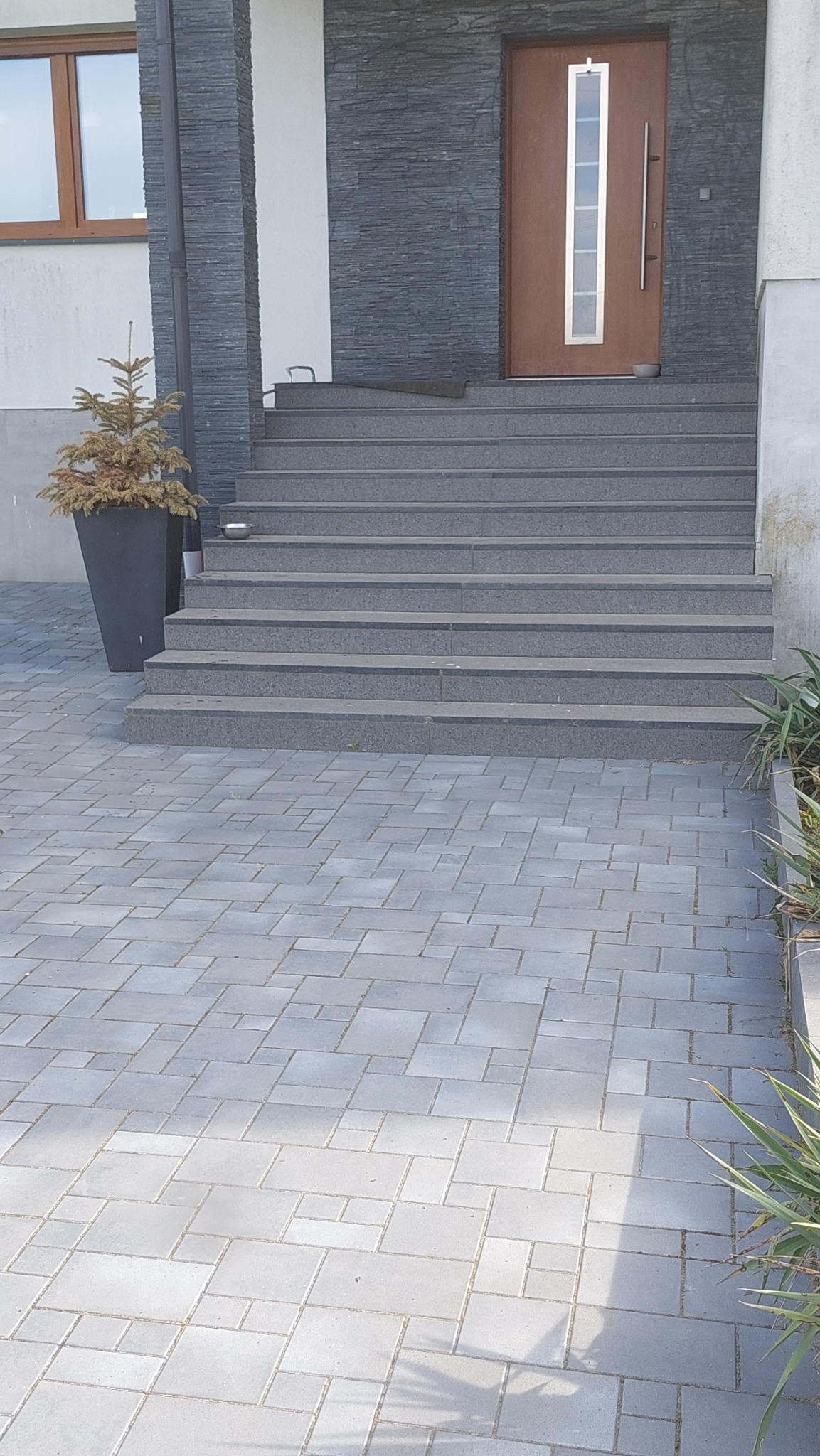 Wejście do domu z szarymi schodami wyłożonymi płytkami, brązowe drzwi z pionowym przeszkleniem, elewacja z szarego kamienia, obok schodów donica z uschniętą choinką, podjazd wyłożony szarą kostką.