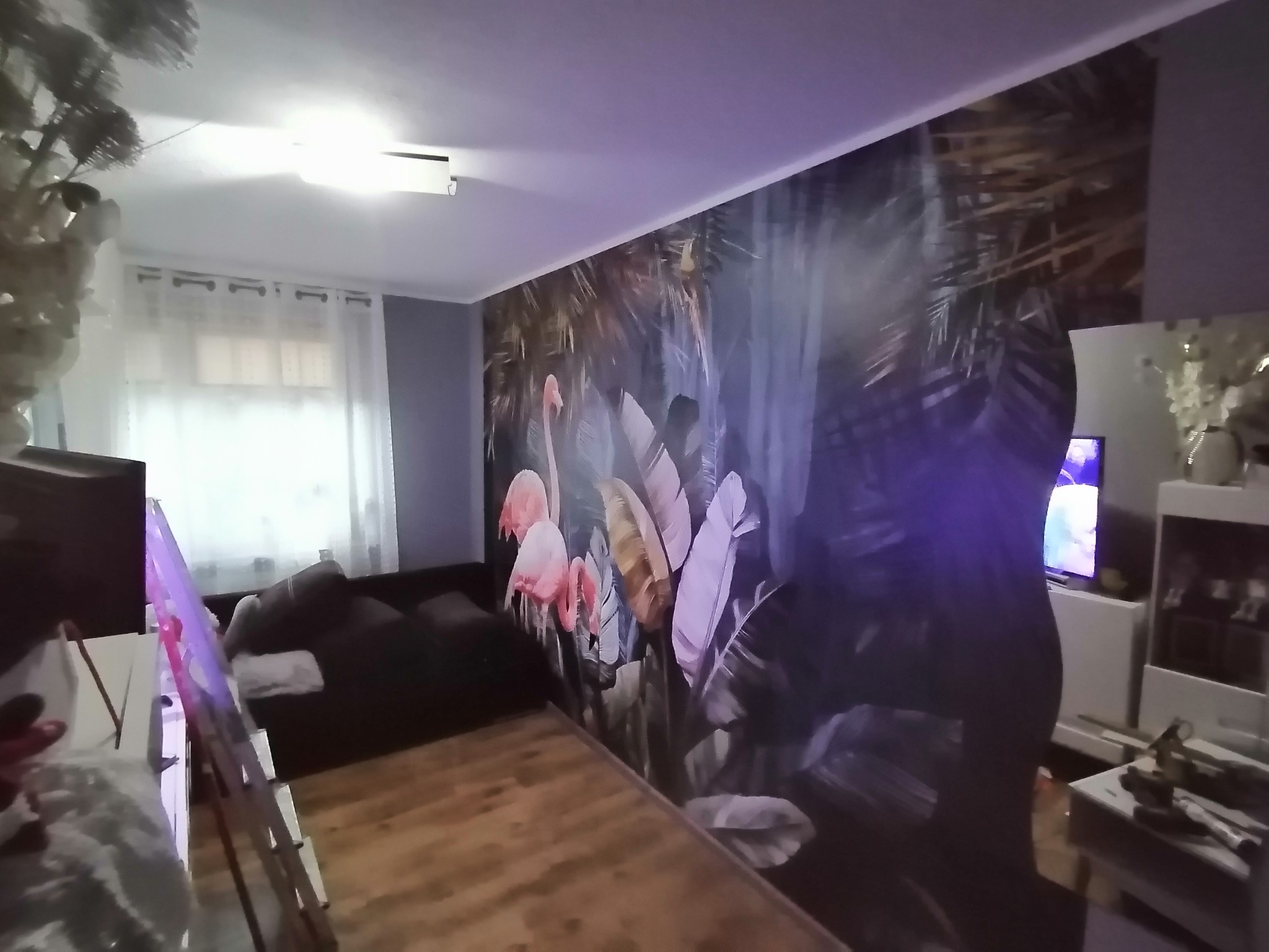 Pokój z fototapetą przedstawiającą tropikalny motyw z flamingami, drewnianą podłogą i widocznymi meblami w tle.