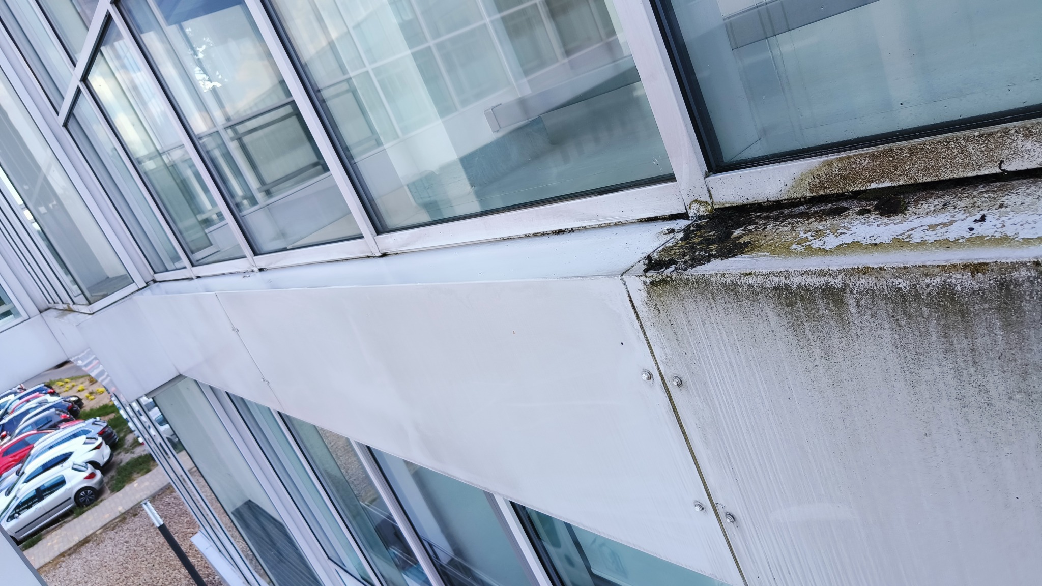 Brudne okna i elewacja biurowca z widocznymi zaciekami i mchem na ramach, z parkingiem w tle.