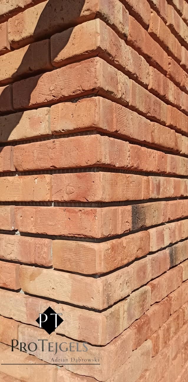 Fragment narożnika ściany z czerwonej cegły klinkierowej z widocznym logo producenta 'ProTejgels' w dolnej części.