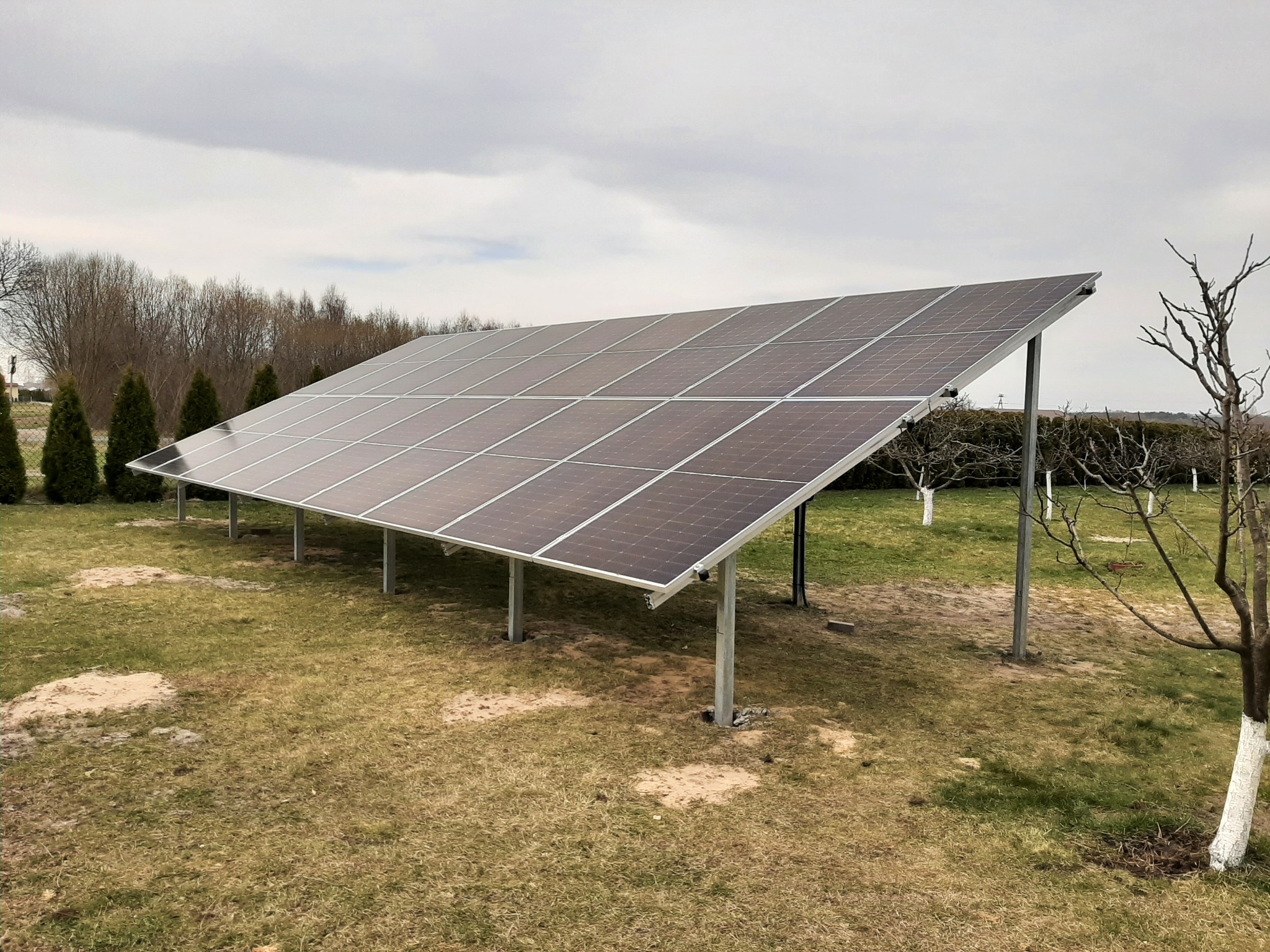 Panel słoneczny ustawiony na trawniku w pochmurny dzień, widoczne cztery małe tuje w tle.