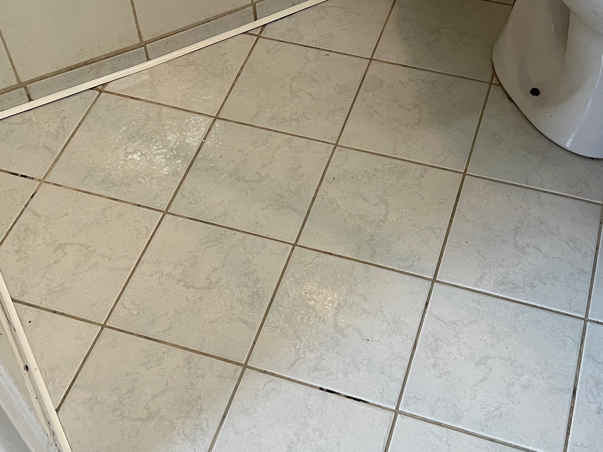 Szare płytki podłogowe w łazience z widocznymi zabrudzeniami fug i fragmentem toalety, listwa przypodłogowa z lewej strony.