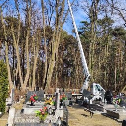 Budlift Dariusz Budzyński - Pracownik na podnośniku koszowym przycina gałęzie drzew na cmentarzu, nagrobki i kwiaty w tle.