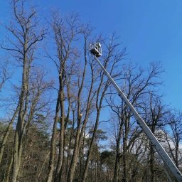 Pielęgnacja ogrodów Łódź 4