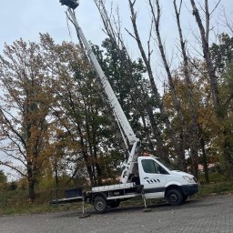 Pielęgnacja ogrodów Łódź 2