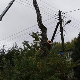 Firma Budlift oferuje wycinkę, przycinkę i pielęgnację drzew. Usługa świadczona przy użyciu podnośnika koszowego i profesjonalnego sprzętu firmy Stihl.
www.budlift24.pl
Dariusz Budzyński 