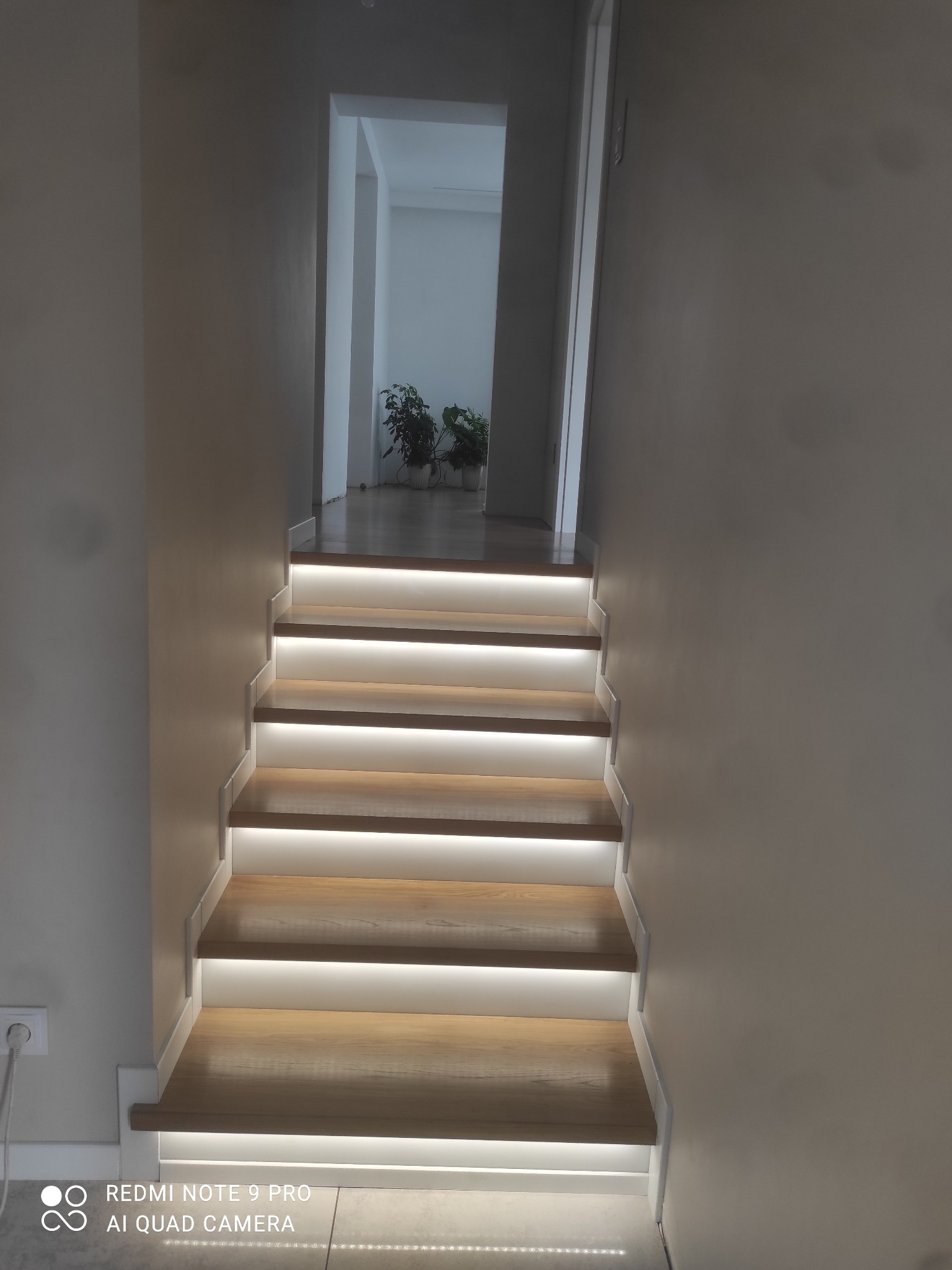 Nowoczesne schody drewniane z podświetleniem LED na każdym stopniu, prowadzące do jasnego pomieszczenia z roślinami w tle.