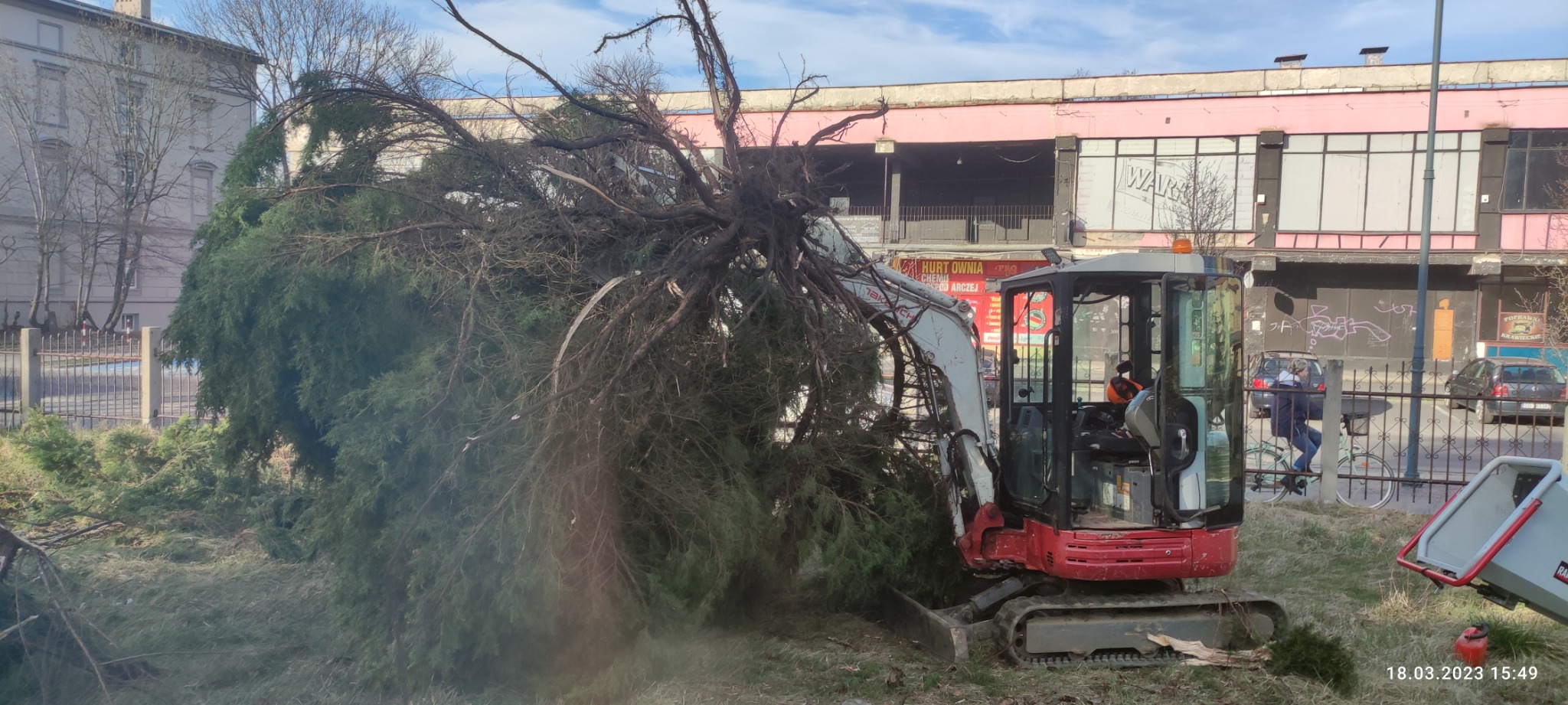 Mini koparka Takuchi z podniesionym ramieniem usuwa powalone drzewo iglaste przy chodniku w miejskiej scenerii, widoczny rowerzysta w tle.